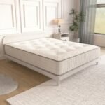 Encapsulation 1000 Mattress